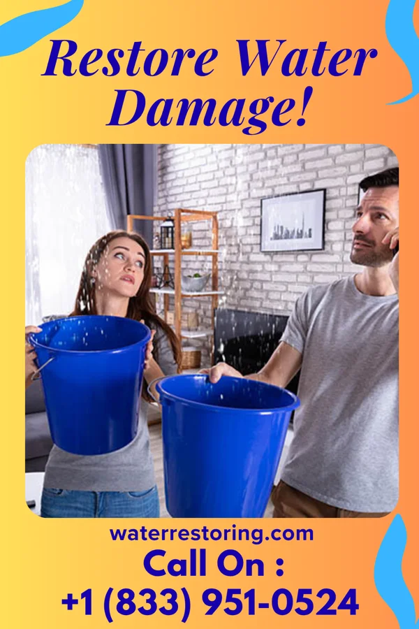water restoration Ironclad Water Solutions Services Amity Gardens