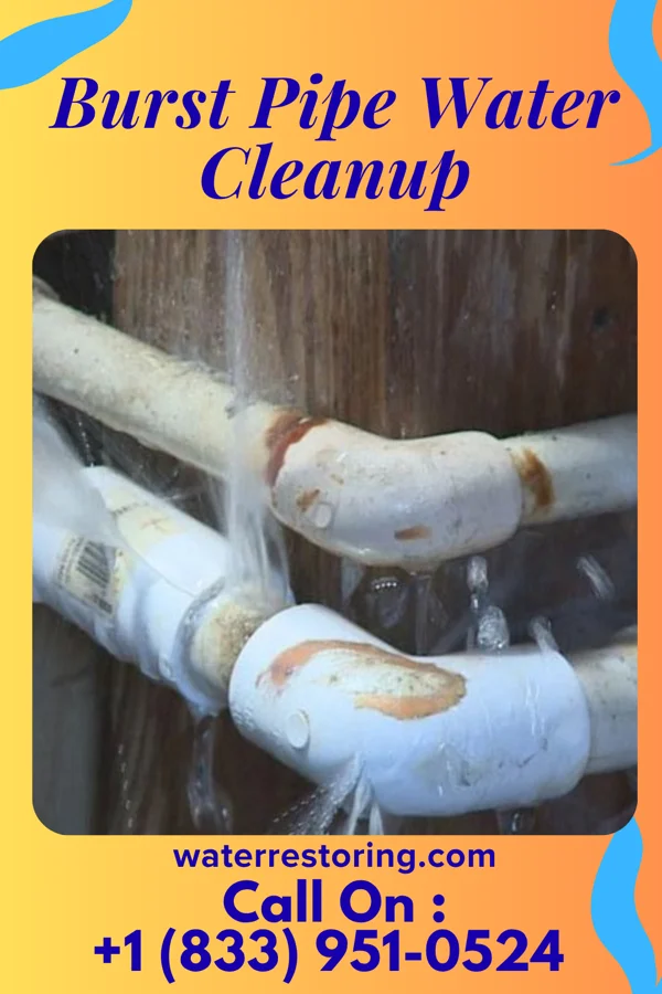 Burst Pipe Water Cleanup in Amity Gardens, PA