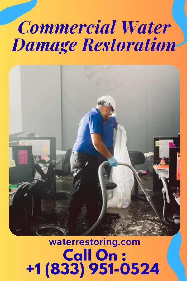 Commercial Water Damage Restoration in Amity Gardens, PA