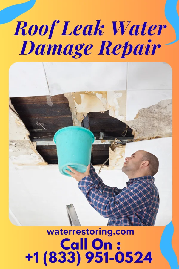Roof Leak Water Damage Repair in Amity Gardens, PA
