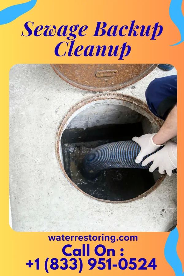 Sewage Backup Cleanup in Amity Gardens, PA