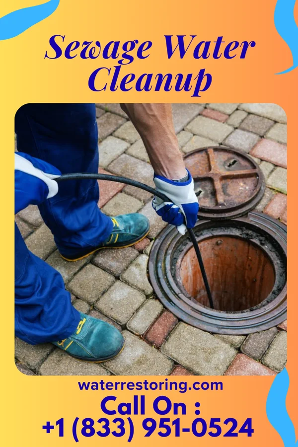 Sewage Water Cleanup in Amity Gardens, PA